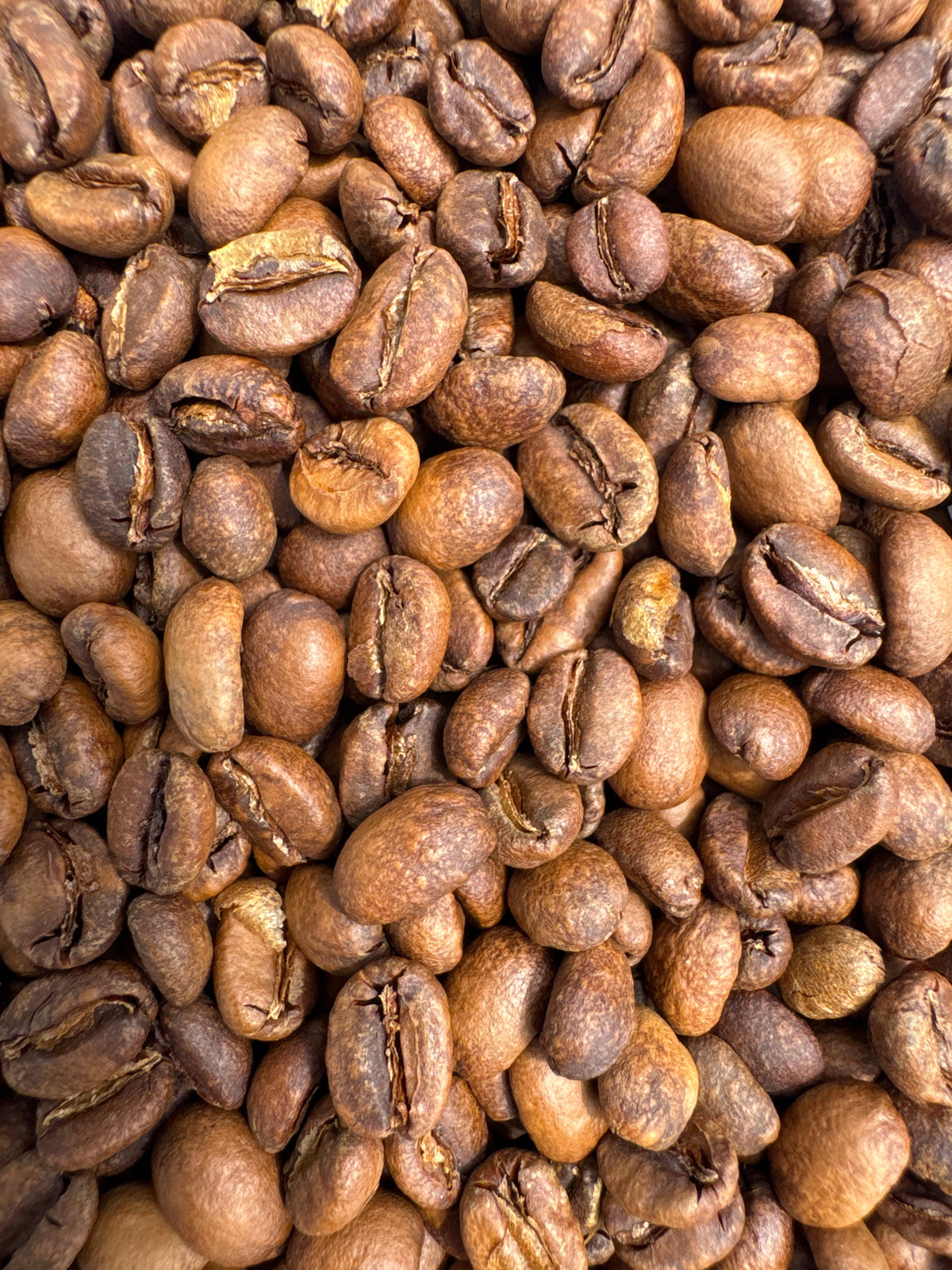 Ethiopia Kayon Mountain Organic G1 Natural