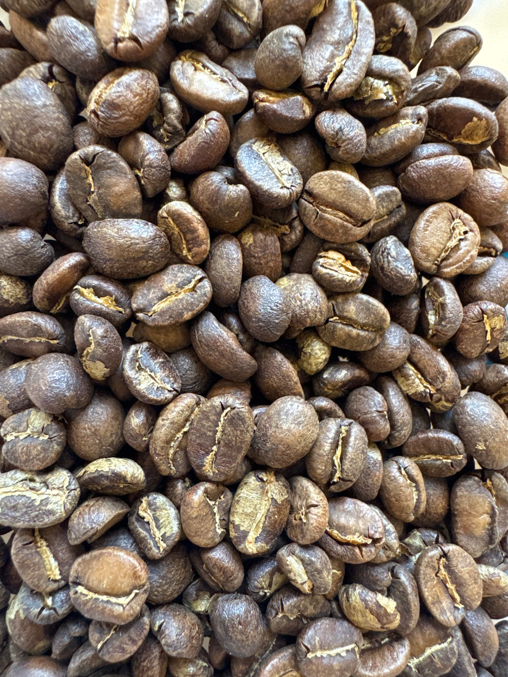 Guatemala Huehuetenango Quetzal