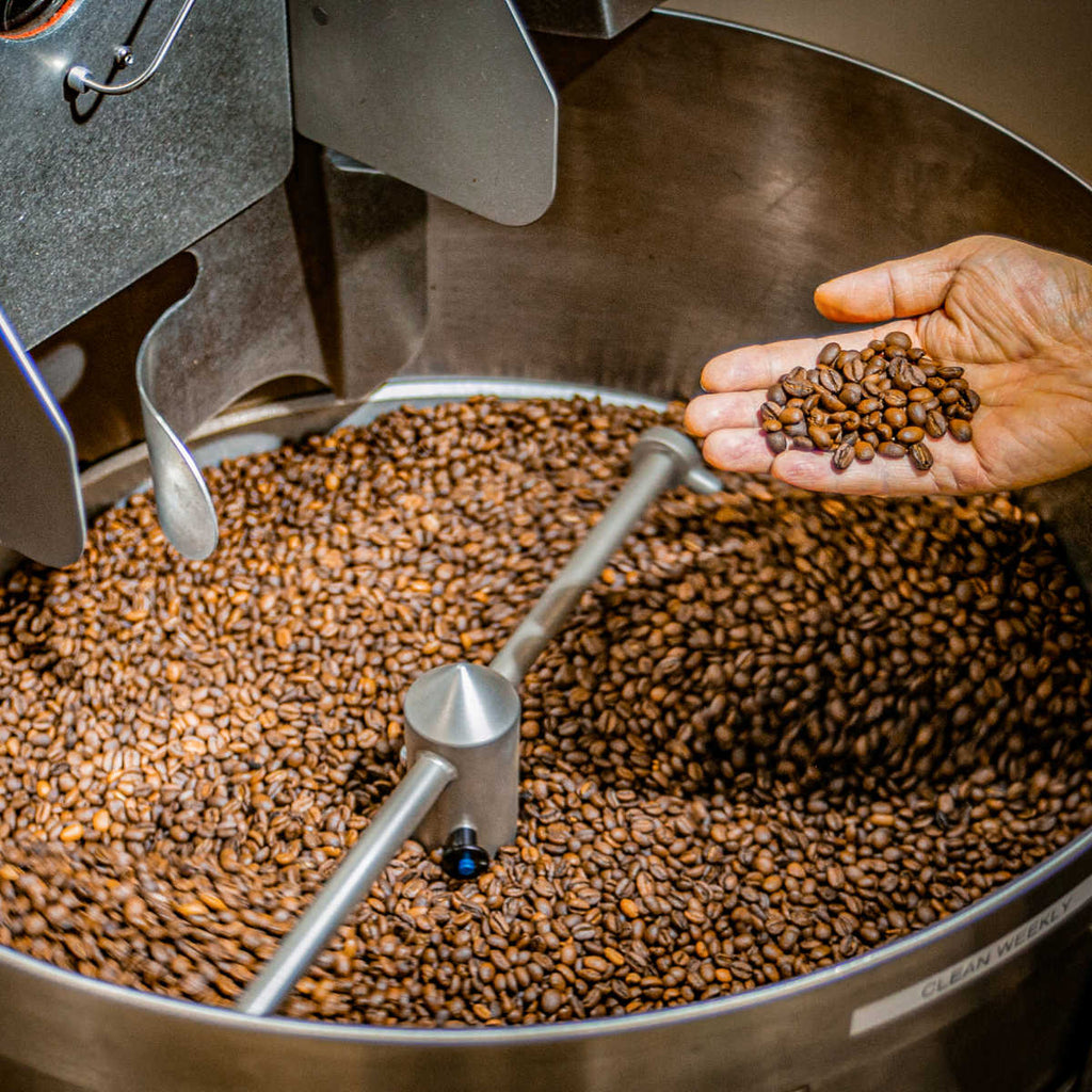 Enzyme Fermented Coffee 12oz (340g)