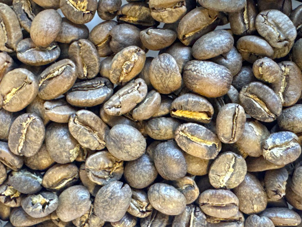 MEXICAN FTO ORGANIC CHIAPAS FESICH COOPERATIVE