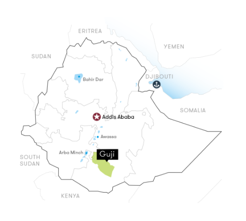 Ethiopia Kayon Mountain Organic G1 Natural