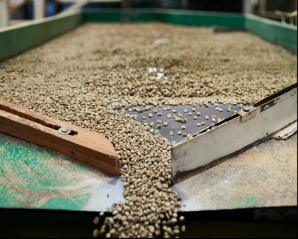 MEXICAN FTO ORGANIC CHIAPAS FESICH COOPERATIVE