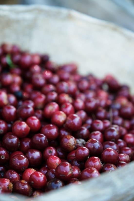 Costa Rica Cafe Vida Washed